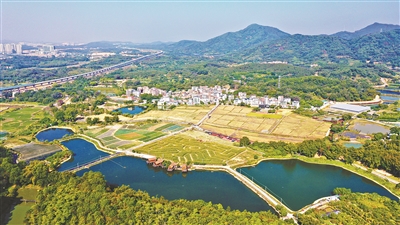 13832529_zhanghl_1747397983234_b.jpg